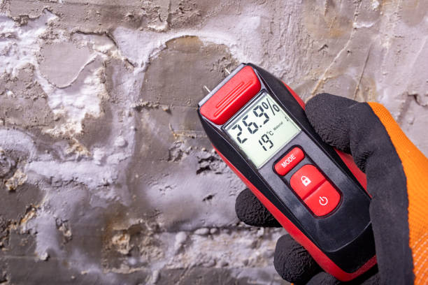 Best Affordable Mold Removal  in Marion, MT