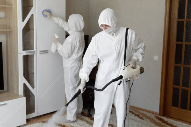 Best Local Mold Removal Service  in Marion, MT
